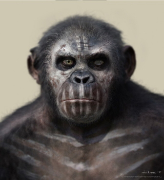 Illustration for article titled Life of the Apes Revealed in Dawn of the Planet of the Apes Concept Art